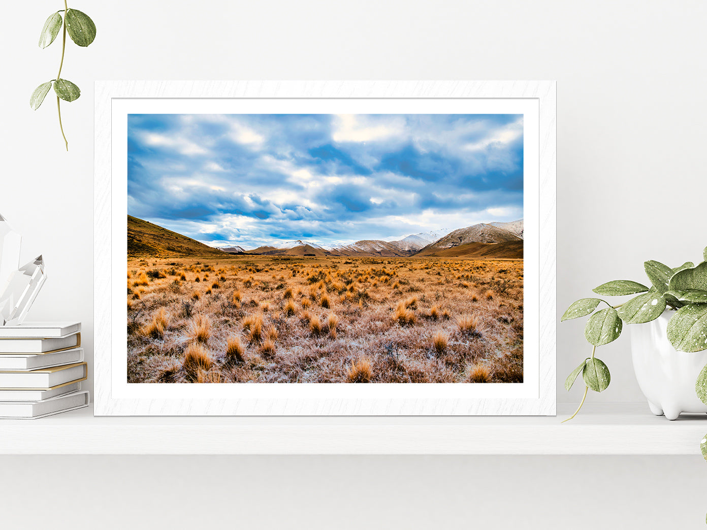 Frost Covered Tussock In Country Glass Framed Wall Art, Ready to Hang Quality Print With White Border White