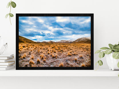 Frost Covered Tussock In Country Glass Framed Wall Art, Ready to Hang Quality Print Without White Border Black