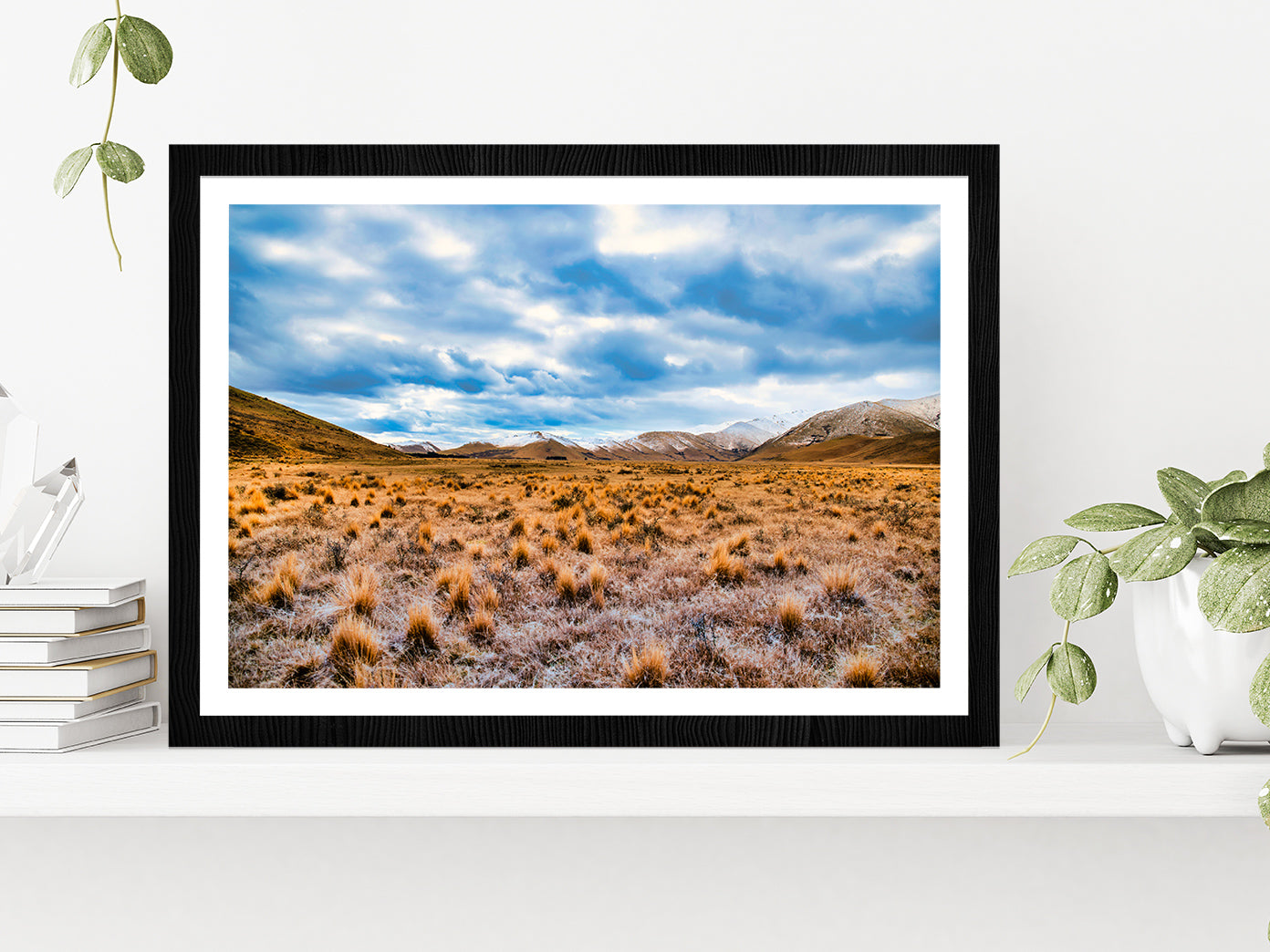 Frost Covered Tussock In Country Glass Framed Wall Art, Ready to Hang Quality Print With White Border Black