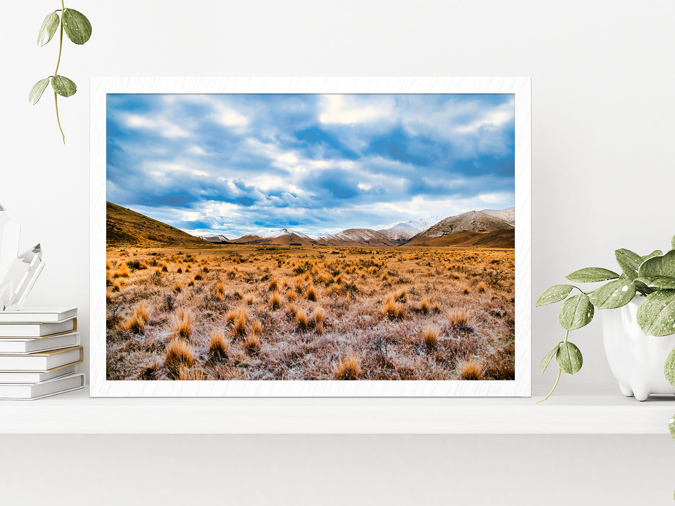 Frost Covered Tussock In Country Glass Framed Wall Art, Ready to Hang Quality Print Without White Border White