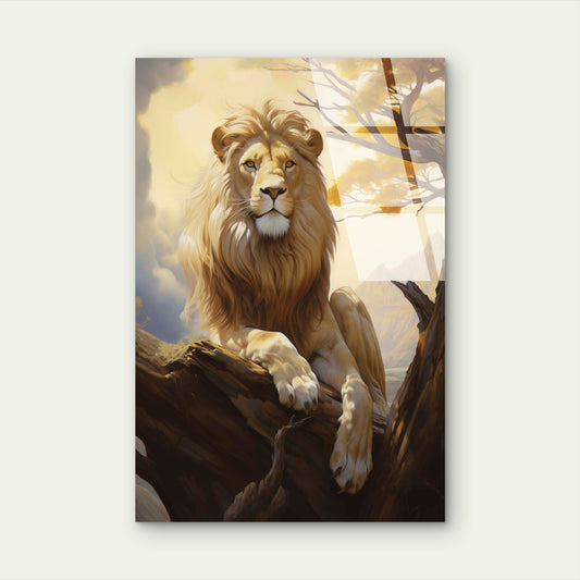 Majestic Golden Lion King Wild Acrylic Glass Printing Wall Art Australian Made Quality
