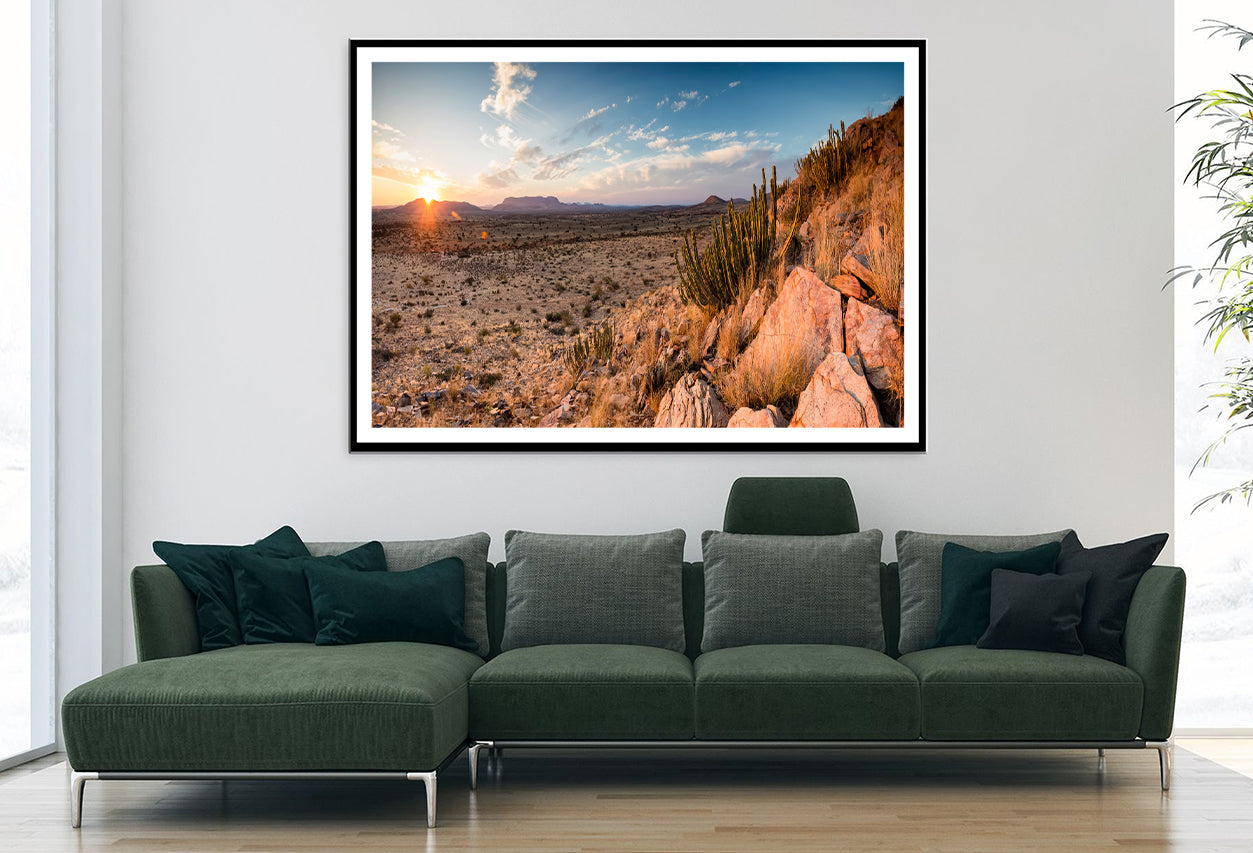 Rocks, Plants & Mountains in South Africa Home Decor Premium Quality Poster Print Choose Your Sizes