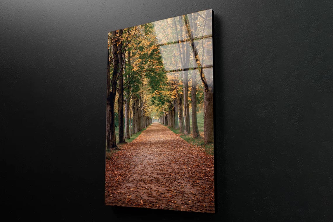Avenue Covered by Fall Leaves in Pilnitz Park, Dresden, Germany Portrait Photograph Acrylic Glass Print Tempered Glass Wall Art 100% Made in Australia Ready to Hang - Bella Home Decor