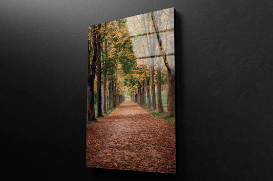 Avenue Covered by Fall Leaves in Pilnitz Park, Dresden, Germany Portrait Photograph Acrylic Glass Print Tempered Glass Wall Art 100% Made in Australia Ready to Hang - Bella Home Decor