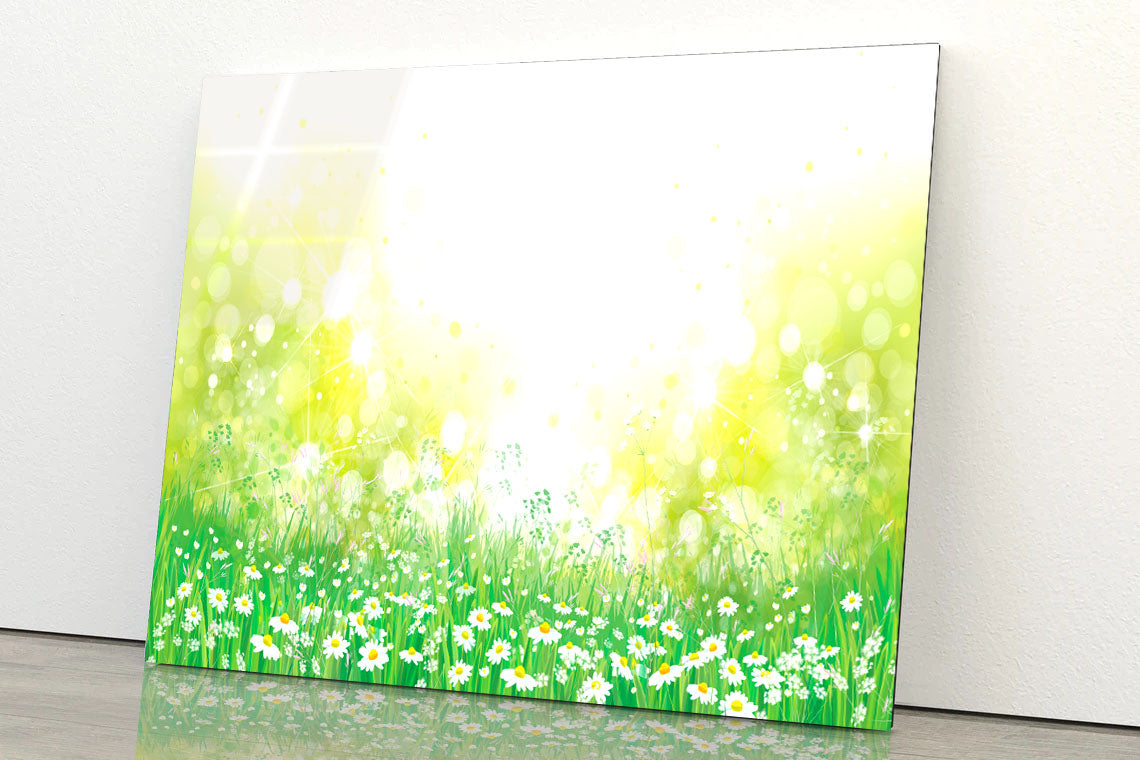 Blossoming White Flowers Field Acrylic Glass Print Tempered Glass Wall Art 100% Made in Australia Ready to Hang