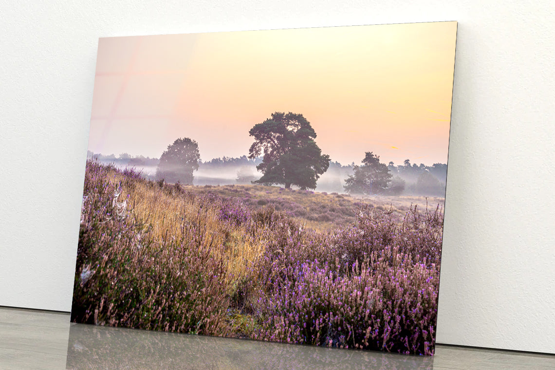 Serene Field of Beautiful Purple Flowers with Trees Acrylic Glass Print Tempered Glass Wall Art 100% Made in Australia Ready to Hang