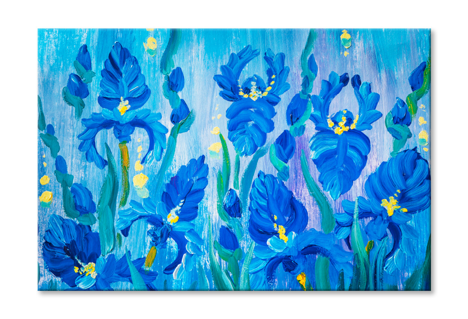 Oil Painting of Beautiful Flowers Wall Art Limited Edition High Quality Print Stretched Canvas None