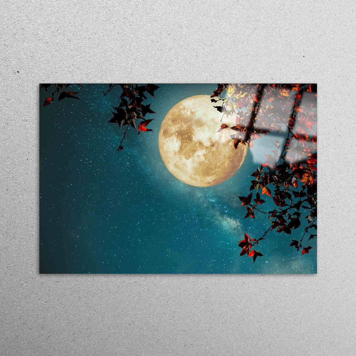 Moon Over The Tree Acrylic Glass Print Tempered Glass Wall Art 100% Made in Australia Ready to Hang