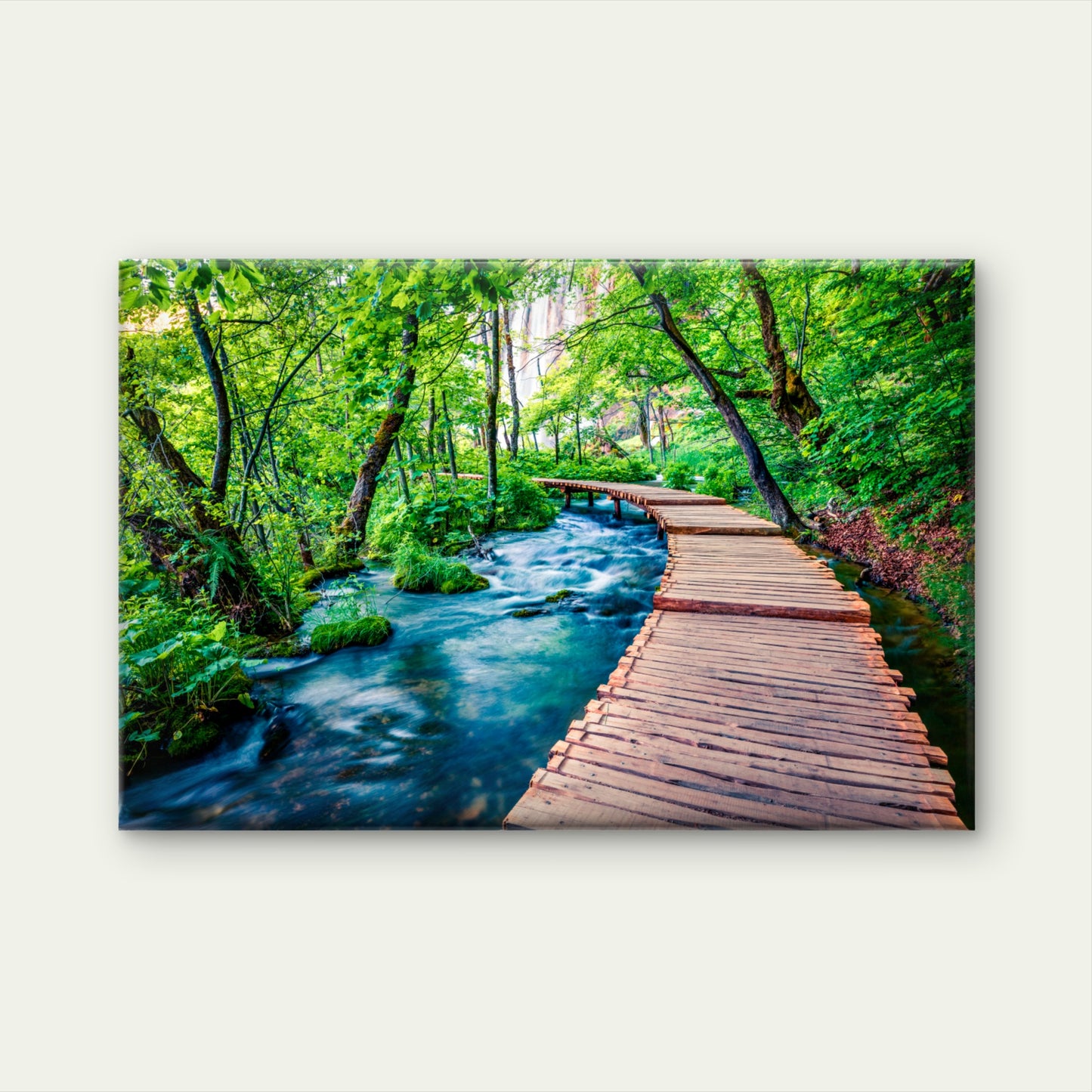 Lush Green Forest Path Along Plitvice Lakes In Croatia Wall Art Decor 100% Australian Made