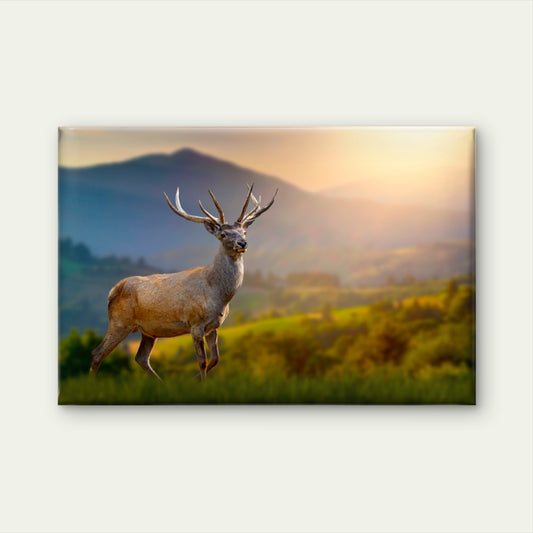 Majestic Red Deer Stag in Scottish Highlands Wall Art Decor 100% Australian Made - Bella Home Decor