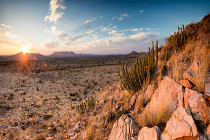 Rocks, Plants & Mountains in South Africa Home Decor Premium Quality Poster Print Choose Your Sizes