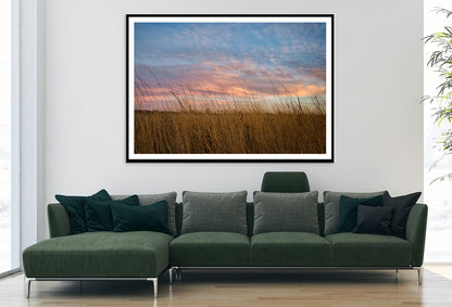 Sunset over Grasses with Beautiful Sky Home Decor Premium Quality Poster Print Choose Your Sizes