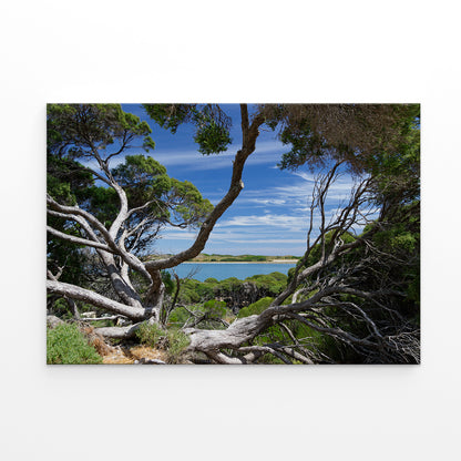 Rottnest Island Western Australia Vlamingh Lookout Wall Art Decor 100% Australian Made
