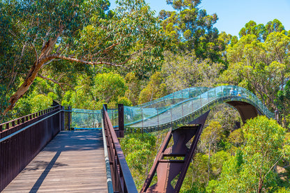 Kings Park and Botanic Garden Federation Walkway Wall Art Decor 100% Australian Made