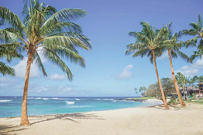 Palm Trees on Sandy Beach in Hawaii Print 100% Australian Made