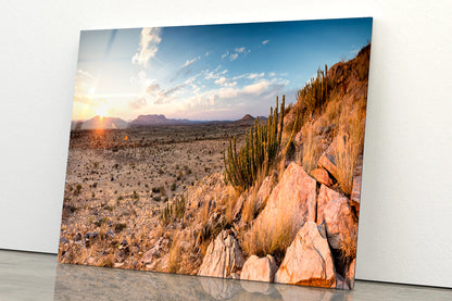 Rocks, Plants & Mountains in South Africa Acrylic Glass Print Tempered Glass Wall Art 100% Made in Australia Ready to Hang - Bella Home Decor