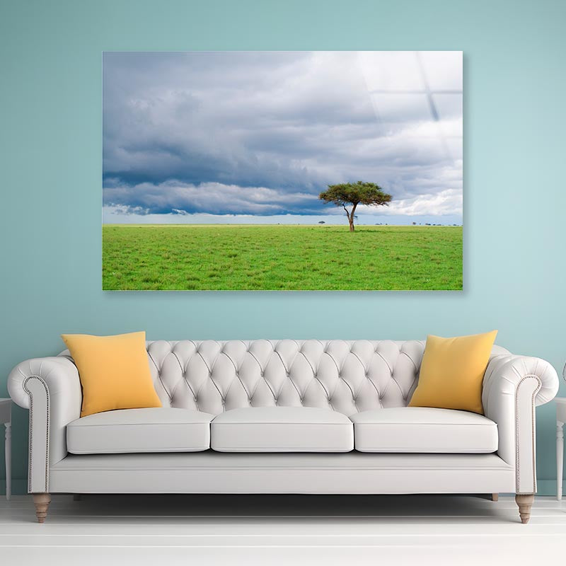 Detached Tree Green Grassland in Savanna Acrylic Glass Print Tempered Glass Wall Art 100% Made in Australia Ready to Hang