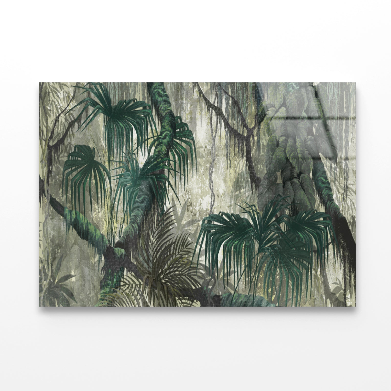 Tropical Plants and Trees Acrylic Glass Print Tempered Glass Wall Art 100% Made in Australia Ready to Hang - Bella Home Decor