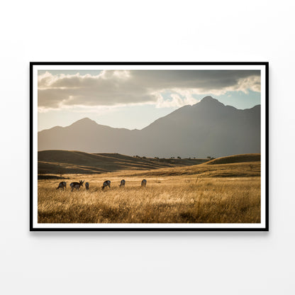 Sonoita Antelope Home Decor Premium Quality Poster Print Choose Your Sizes