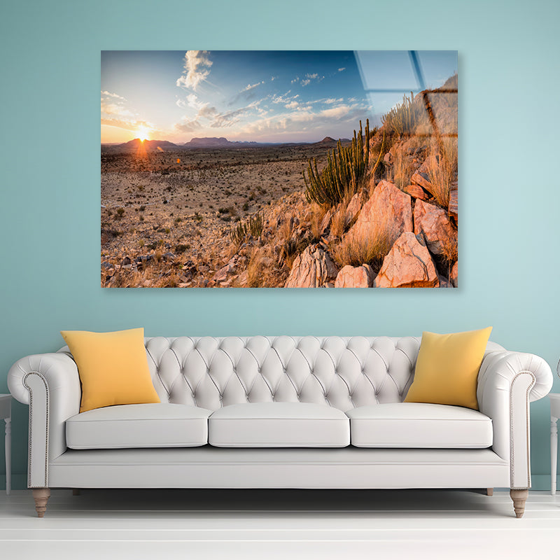 Rocks, Plants & Mountains in South Africa Acrylic Glass Print Tempered Glass Wall Art 100% Made in Australia Ready to Hang - Bella Home Decor