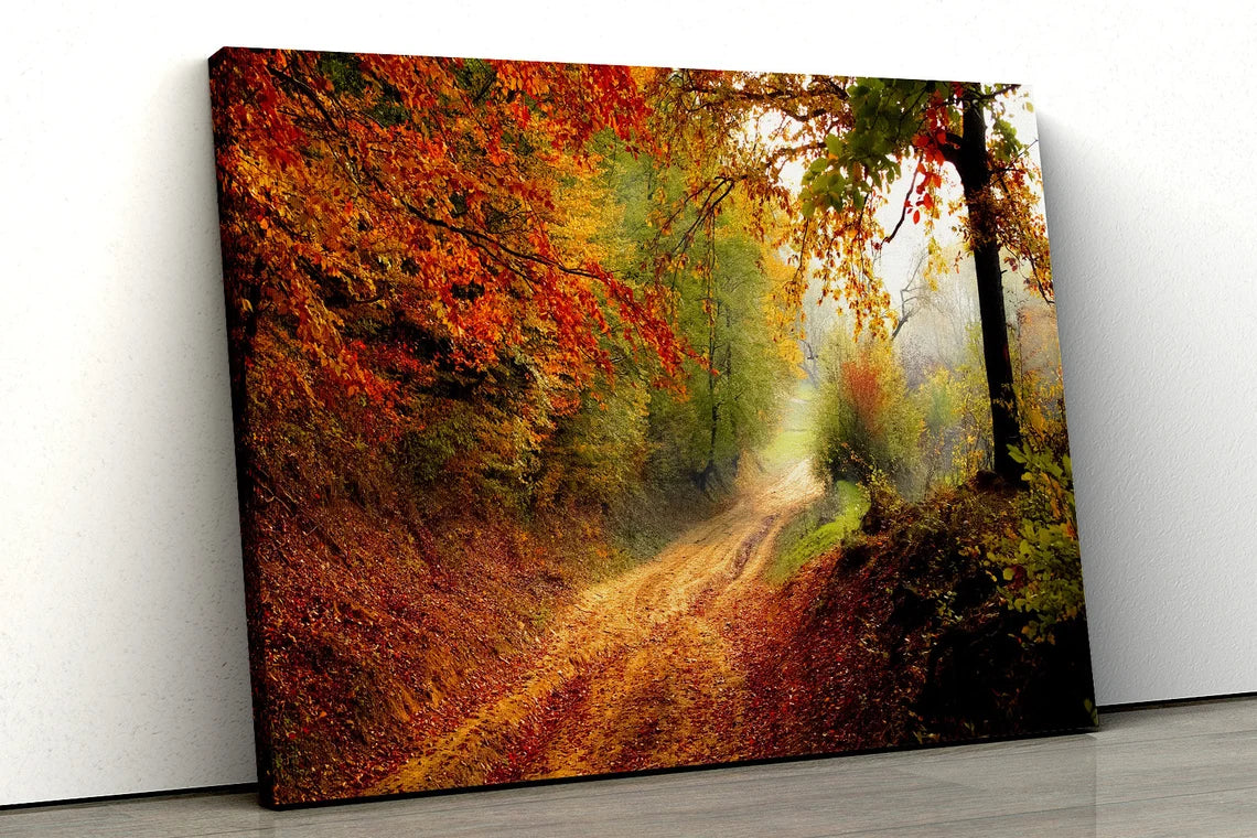 Autumn Road Red Orange trees forest UV Direct Aluminum Print Australian Made Quality