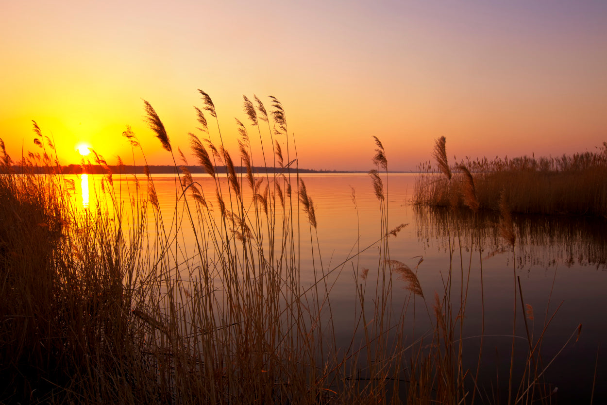 Sunset on the River Golden Hour Scenery Wall Art Decor 100% Australian Made