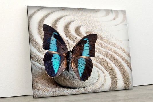 Butterfly on Sand Art UV Direct Aluminum Print Australian Made Quality
