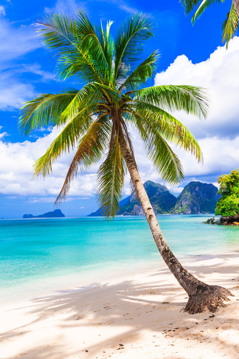 Sandy Beach & Palm Tree with Blue Sky View Glass Framed Wall Art, Ready to Hang Quality Print