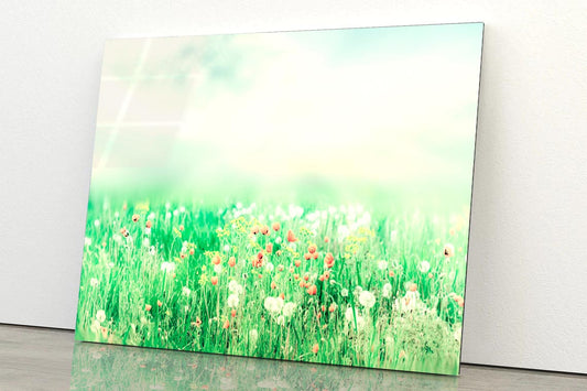 Beautiful Vintage Summer Landscape with Sun & Flowers  Acrylic Glass Print Tempered Glass Wall Art 100% Made in Australia Ready to Hang