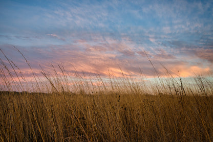 Sunset over Grasses with Beautiful Sky Home Decor Premium Quality Poster Print Choose Your Sizes