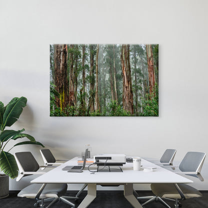 Mountain Ash Trees Forest Victoria Wall Art Decor 100% Australian Made