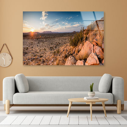 Rocks, Plants & Mountains in South Africa Acrylic Glass Print Tempered Glass Wall Art 100% Made in Australia Ready to Hang - Bella Home Decor