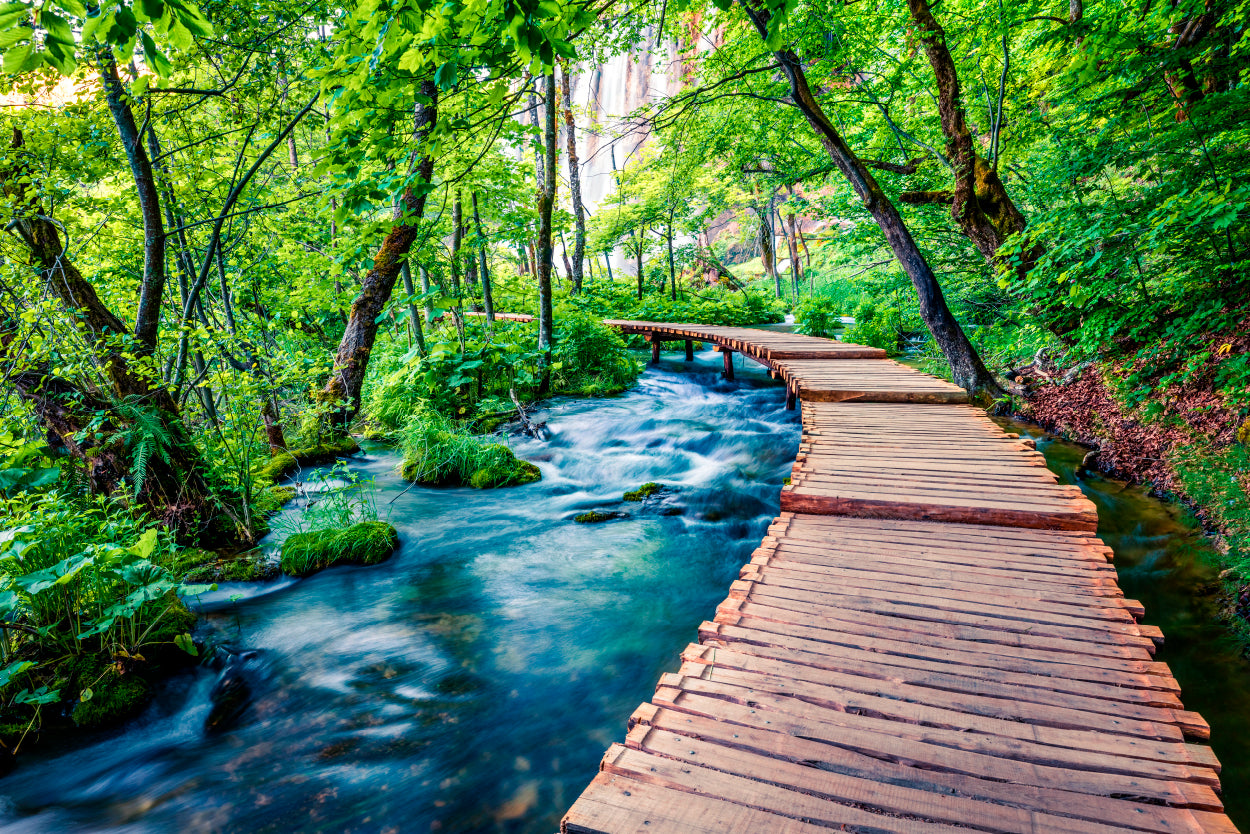 Lush Green Forest Path Along Plitvice Lakes In Croatia Wall Art Decor 100% Australian Made