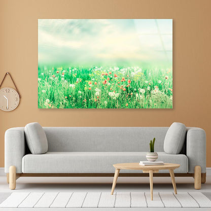 Beautiful Vintage Summer Landscape with Sun & Flowers  Acrylic Glass Print Tempered Glass Wall Art 100% Made in Australia Ready to Hang