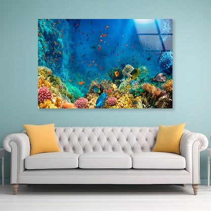 Underwater World Coral Fishes Of Red Sea  Acrylic Glass Print Tempered Glass Wall Art 100% Made in Australia Ready to Hang - Bella Home Decor
