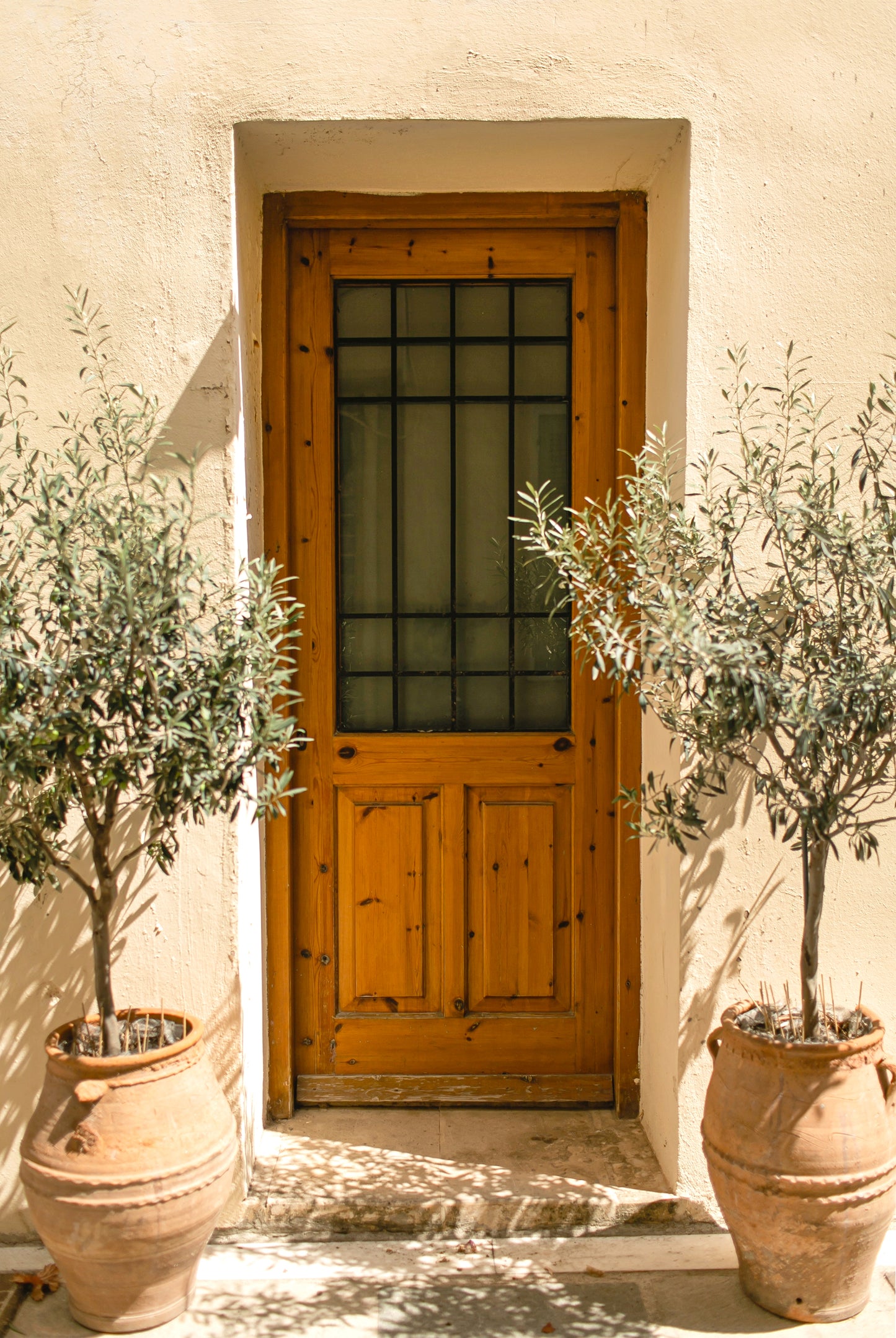Mediterranean Entrance Featuring Door Potted Olive Trees Wall Art Decor 100% Australian Made