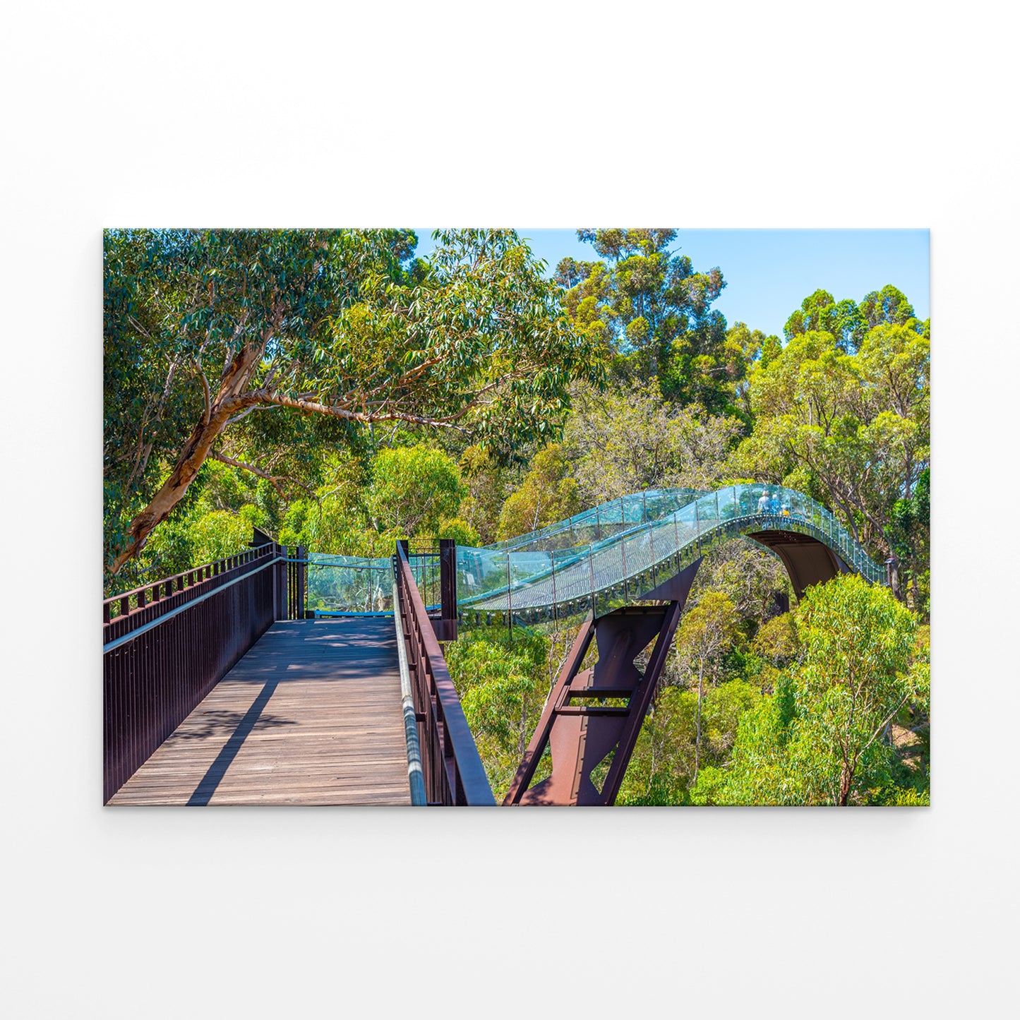 Kings Park and Botanic Garden Federation Walkway Wall Art Decor 100% Australian Made