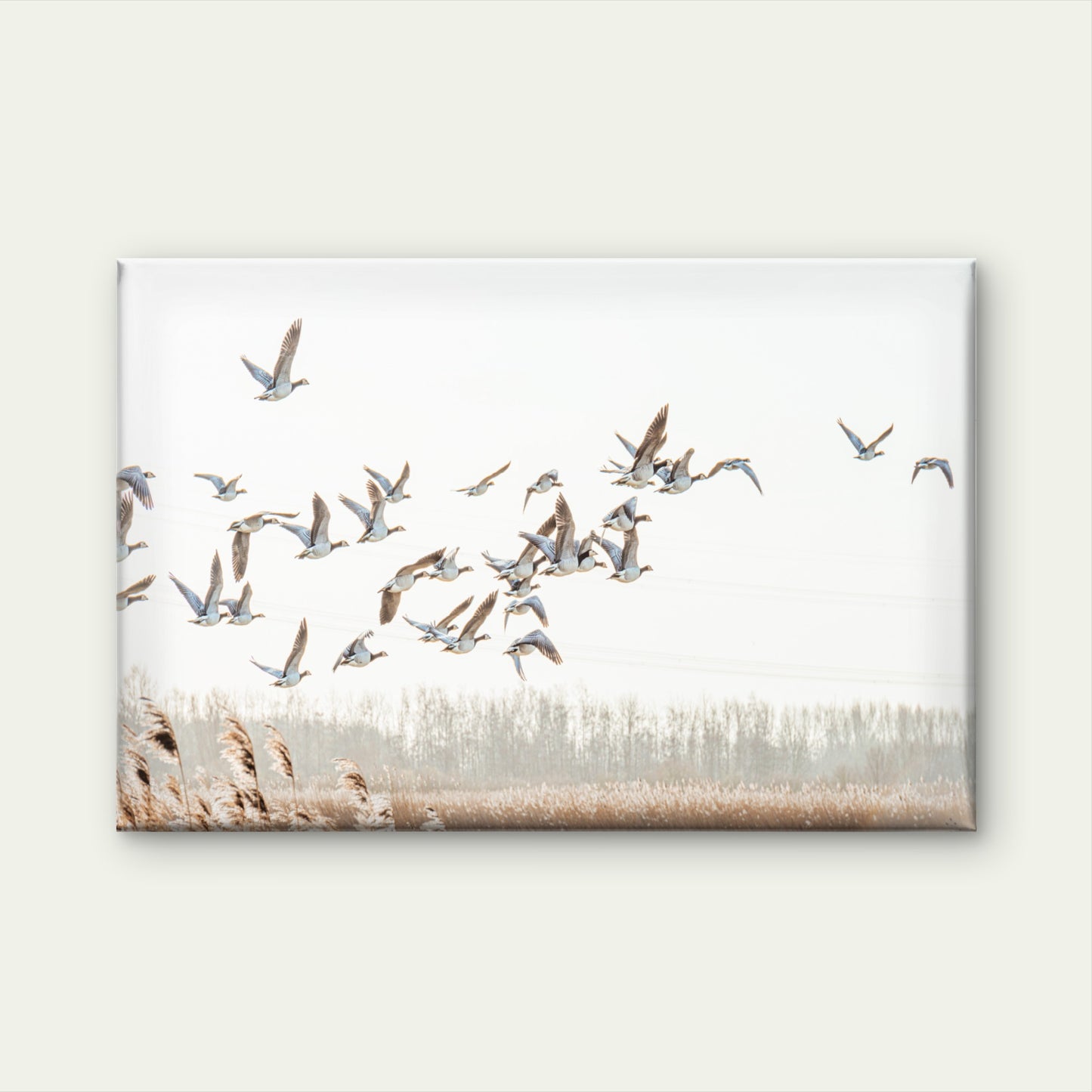 Neutral Toned Minimalist Flying Geese Birds Rustic Landscape  Wall Art Decor 100% Australian Made