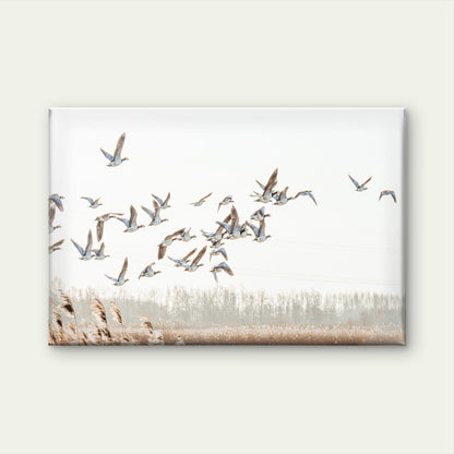 Neutral Toned Minimalist Flying Geese Birds Rustic Landscape  Wall Art Decor 100% Australian Made