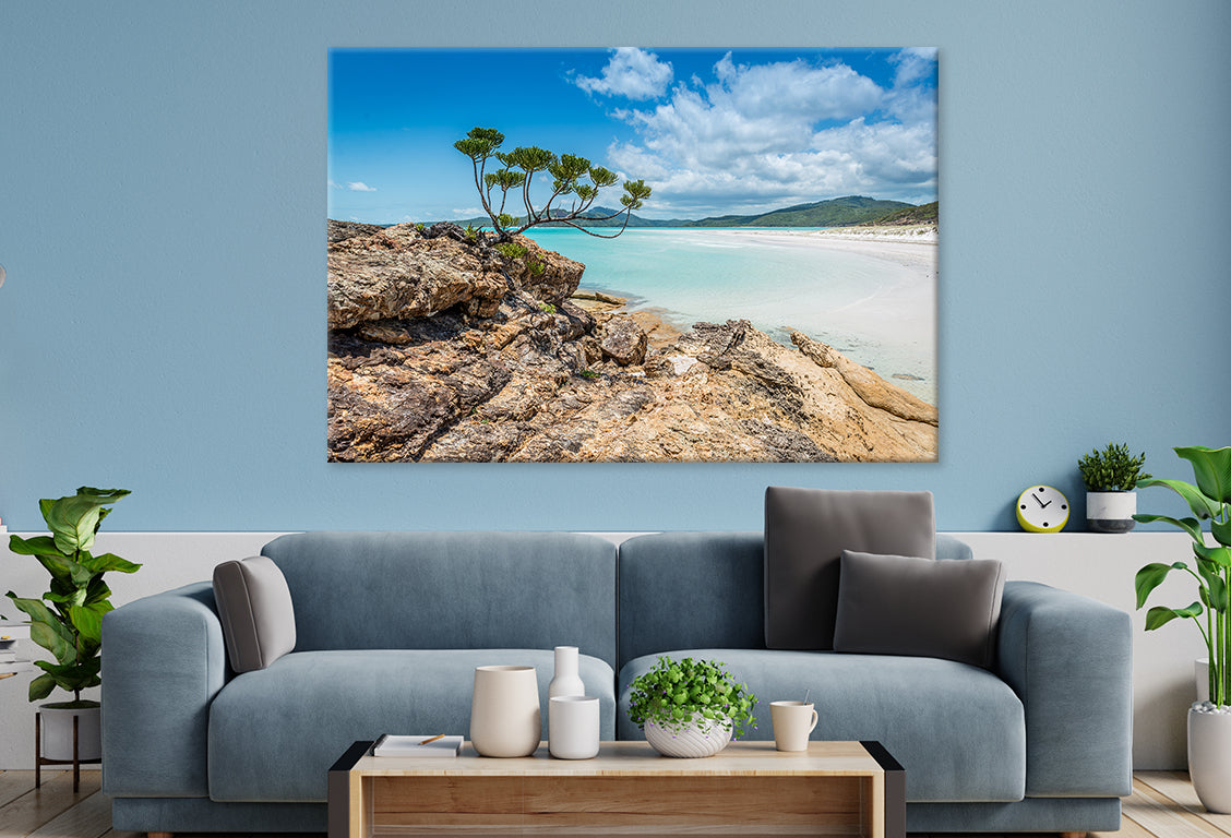 Whitehaven Beach Queensland Scenic Wall Art Decor 100% Australian Made