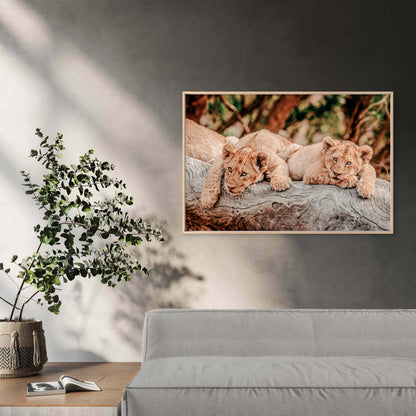 African Safari Lion Cub Neutral Toned Wild Animals Wall Art Decor 100% Australian Made