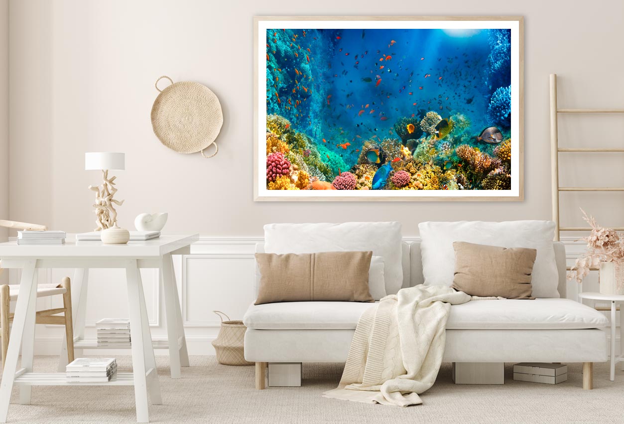 Underwater World Coral Fishes Of Red Sea Home Decor Premium Quality Poster Print Choose Your Sizes - Bella Home Decor