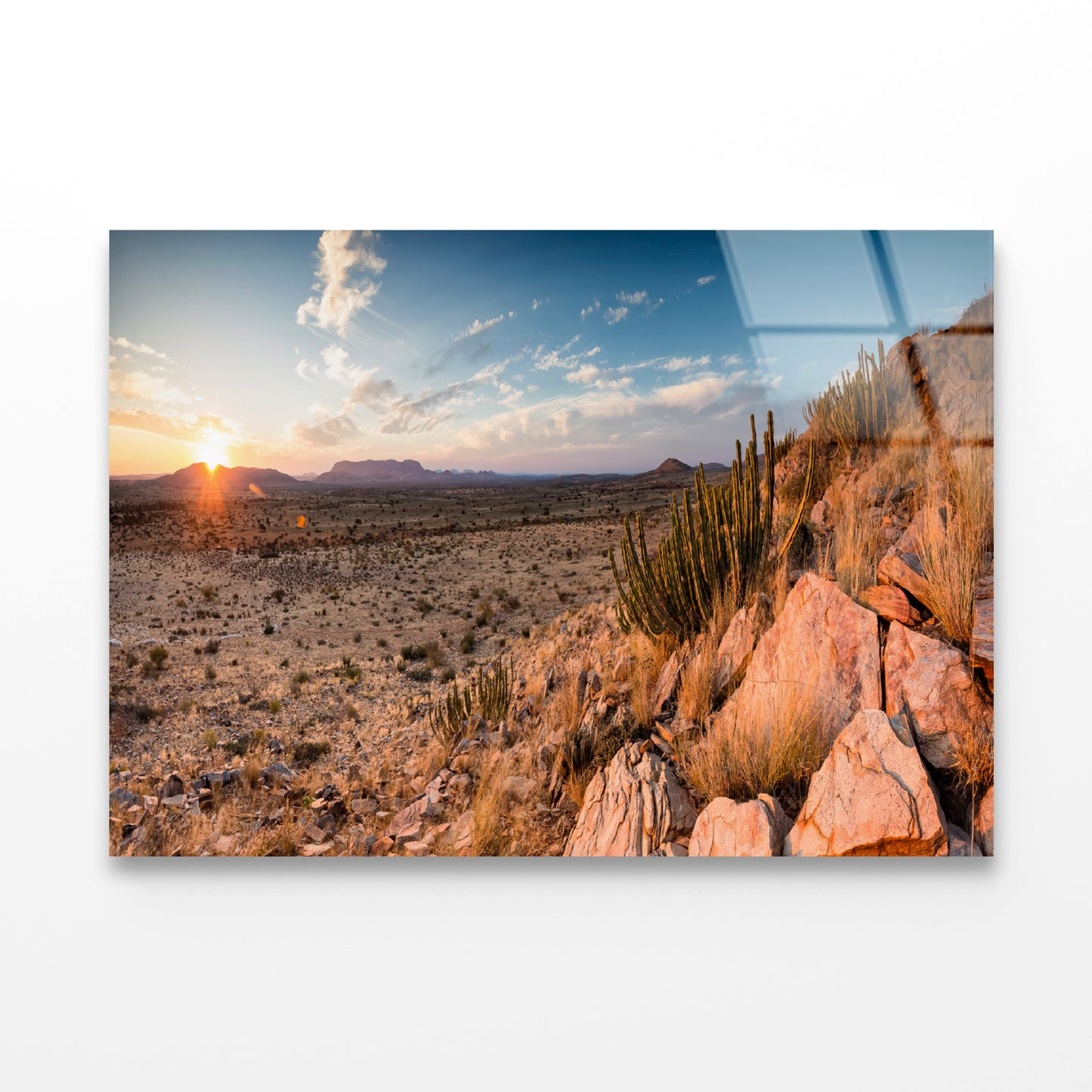 Rocks, Plants & Mountains in South Africa Acrylic Glass Print Tempered Glass Wall Art 100% Made in Australia Ready to Hang - Bella Home Decor