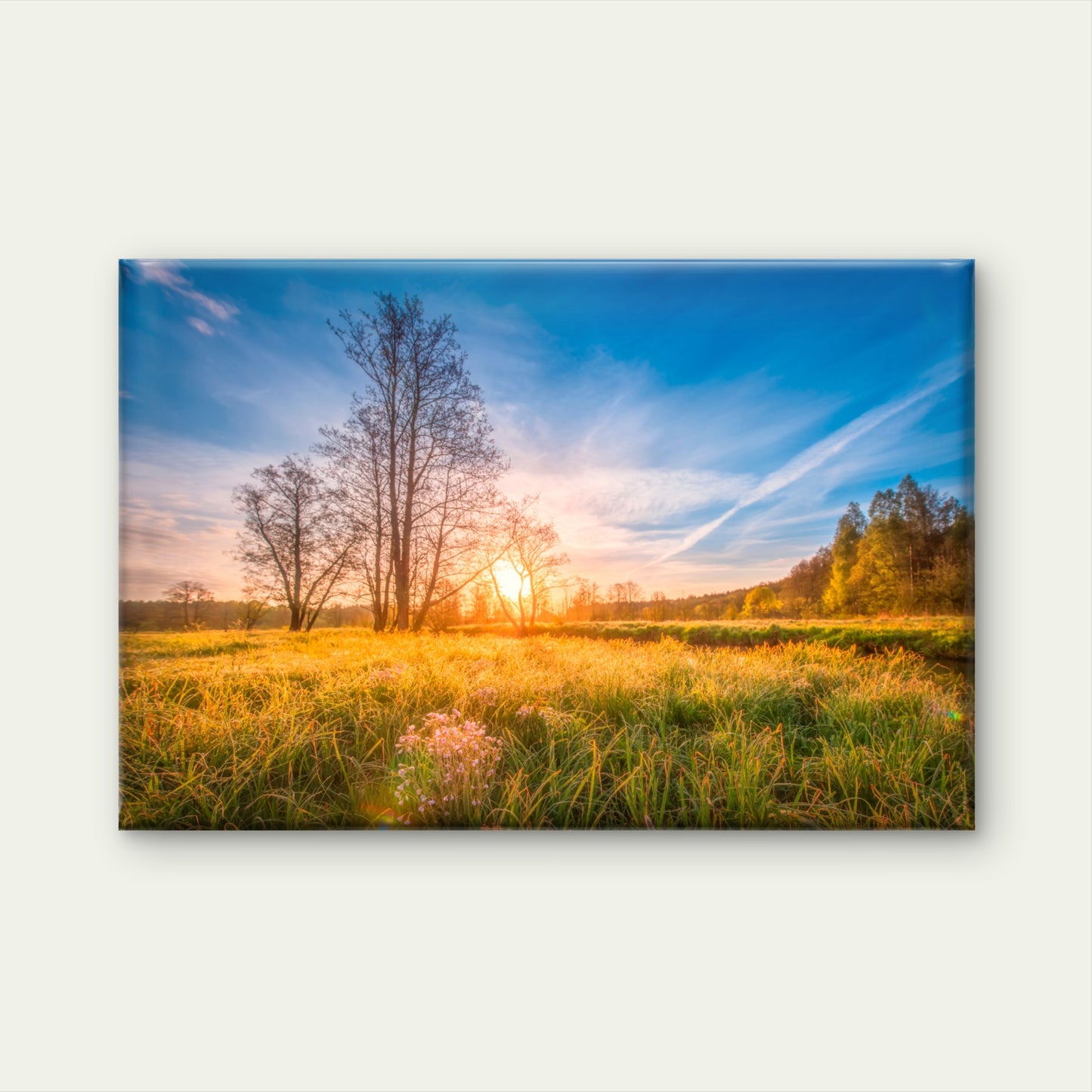 Morning Sun Golden Meadow Nature Wall Art Decor 100% Australian Made