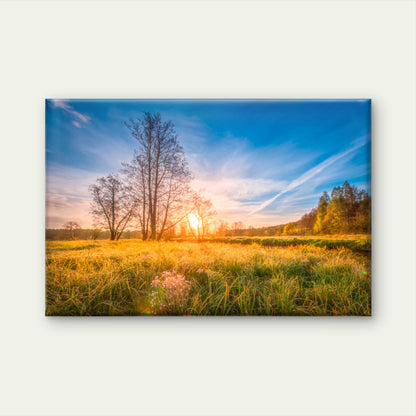 Morning Sun Golden Meadow Nature Wall Art Decor 100% Australian Made