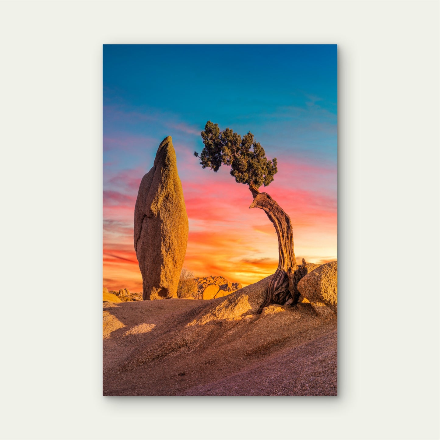 Sunset Joshua Tree Desert Nature 60x90cm Metal Print Ready to Hang