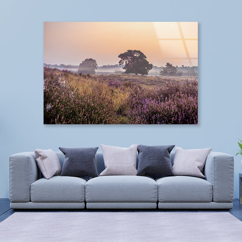 Serene Field of Beautiful Purple Flowers with Trees Acrylic Glass Print Tempered Glass Wall Art 100% Made in Australia Ready to Hang