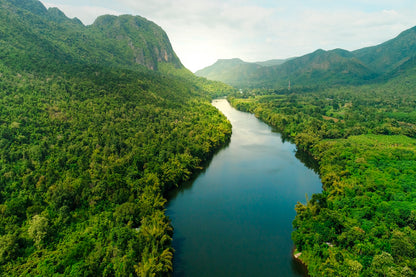 Aerial View Of River in Tropical Green Forest with Mountains in Background Wall Art Decor 100% Australian Made - Bella Home Decor