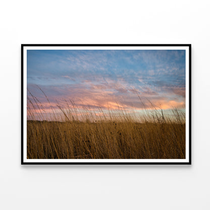 Sunset over Grasses with Beautiful Sky Home Decor Premium Quality Poster Print Choose Your Sizes