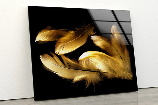 Gold Feathers on Dark UV Direct Aluminum Print Australian Made Quality